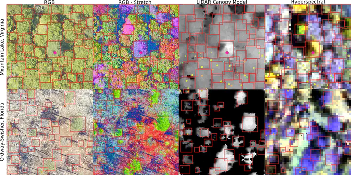 2 by 4 grid of images of tree crown annotations showing tree crowns for two sites (one on each row) on different remote sensing products (each column) including RGB, RGB - Stretch, LiDAR canopy height, and hyperspectral. Annotations are generally well aligned with impressions of trees in remote sensing.