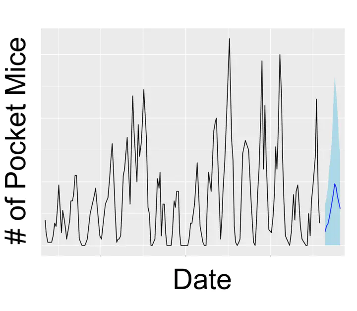 Graph showing a population time series for pocket mice. Date on the x axis, number of pocket mice on the y axis, and oscillating time-series relationship with a year of foreast dynamics at the end
